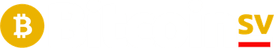 BitcoinSV.pl Logo